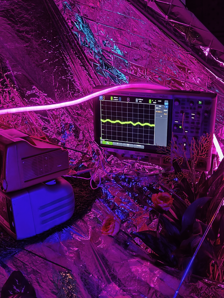 A Light, First Found in the Lab
